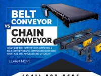 Belt Conveyor vs Chain Conveyor: What’s the Difference?